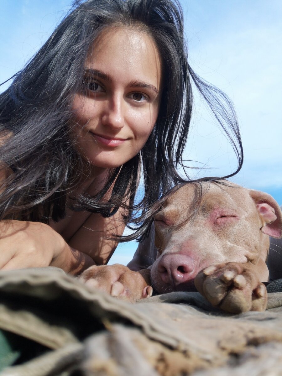 Объявление для приюта животных. Рацион кормления щенка в 1,5 месяцев. Через сколько забирают щенков. Сколько по времени можно гулять с щенком 4 месяца. Вес щенка немецкой овчарки по месяцам таблица.