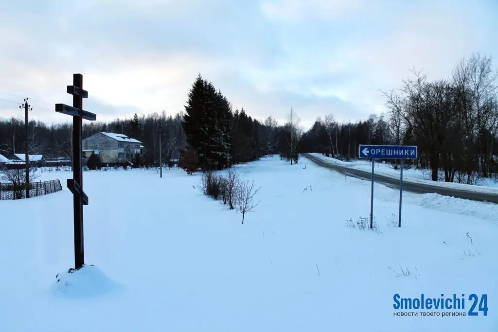 Деревня Орешники расположена в 11 километрах от железнодорожной станции «Смолевичи». Когда-то деревня являлась центром бывшего совхоза имени Калинина