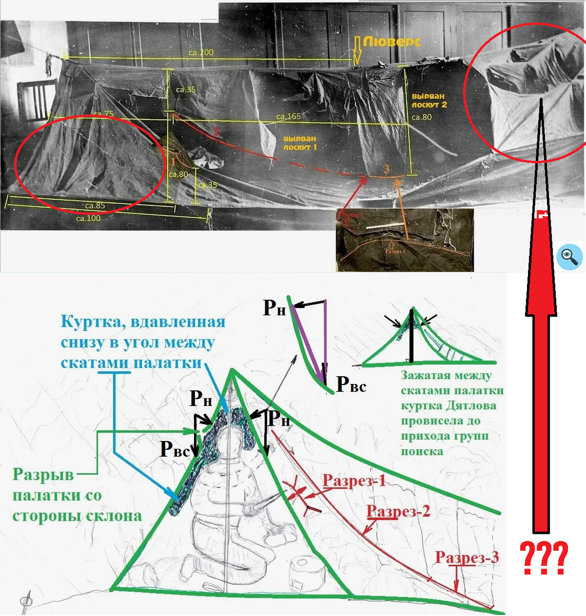 Аналитика автора