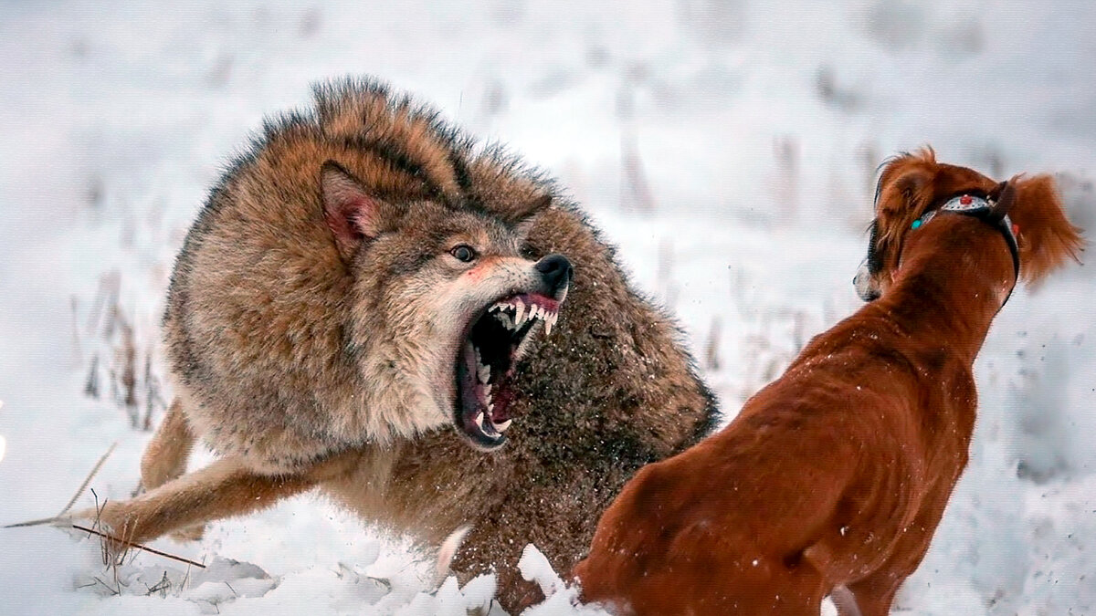 источник фото: i.ytimg.com