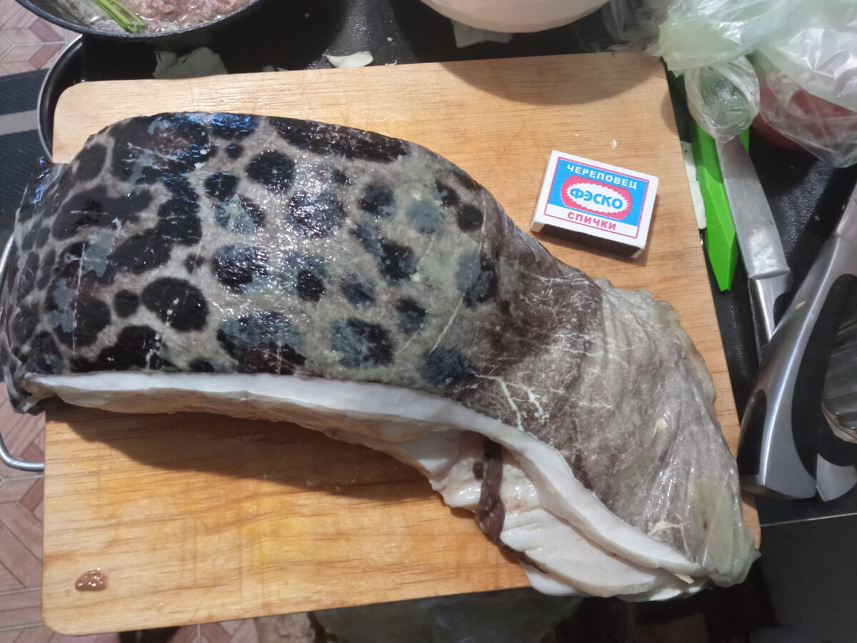 огромный вместо. памятник кошельку в краснодаре. гигантский поп. огромный вместо. 13.