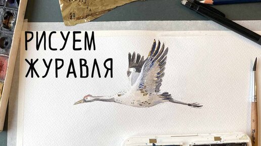 Как нарисовать журавля карандашом