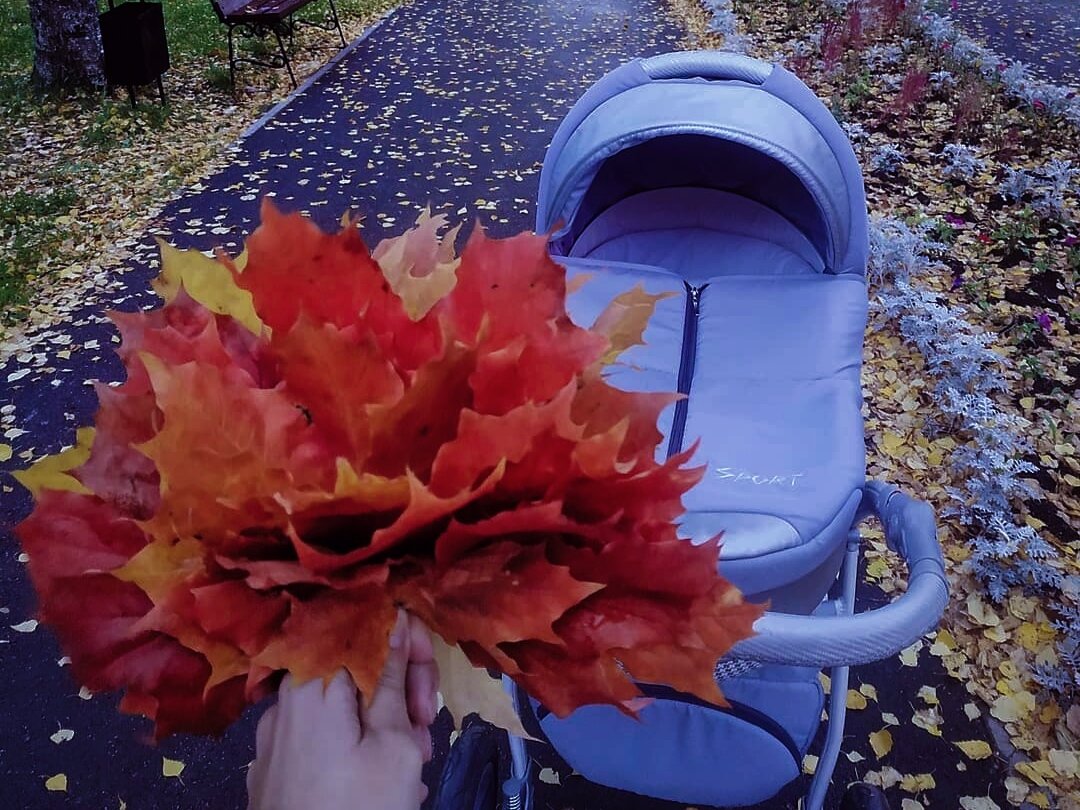 Фотография из свободного доступа