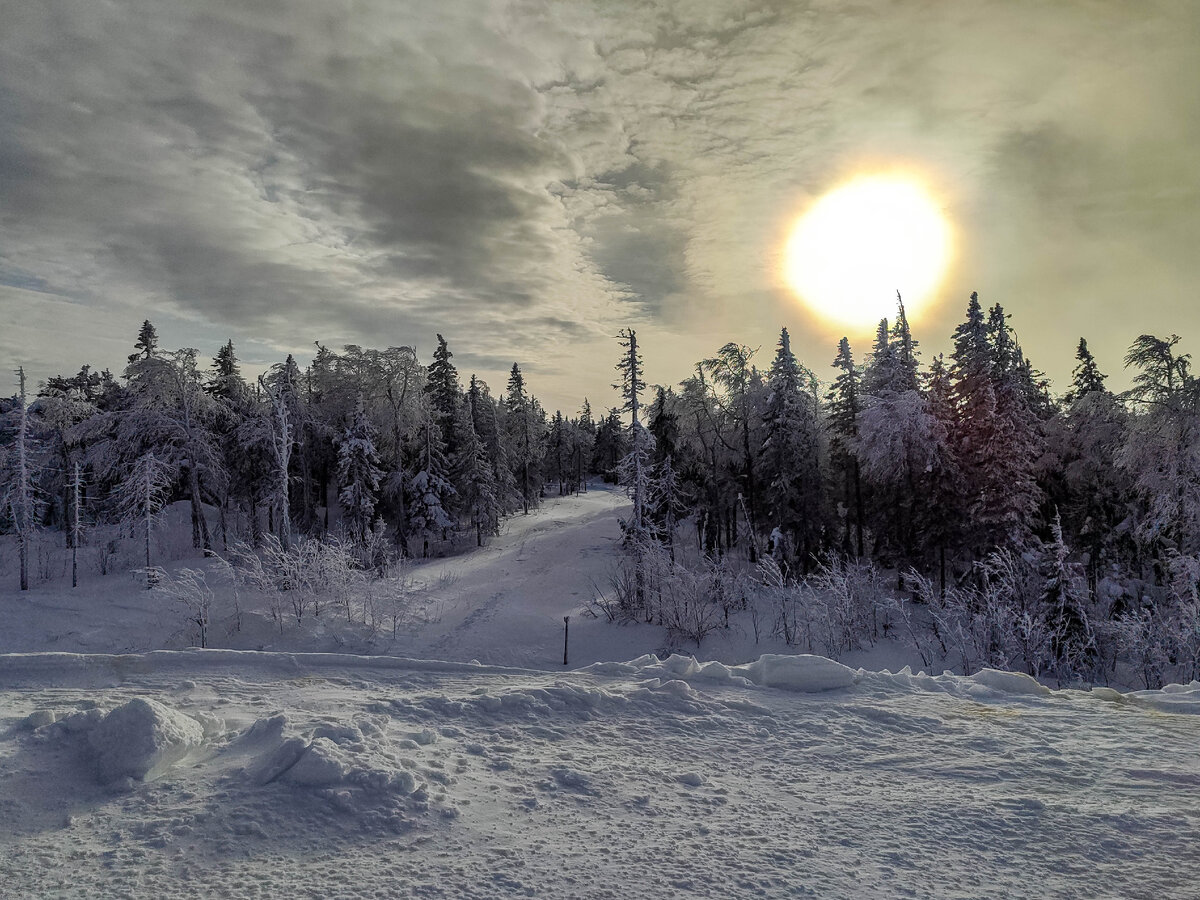 Гостиница тагил лобби бар. Тагил 3. Тагил 3. Тагил 3. Гостиница тагил садовая ул 4 нижний тагил.
