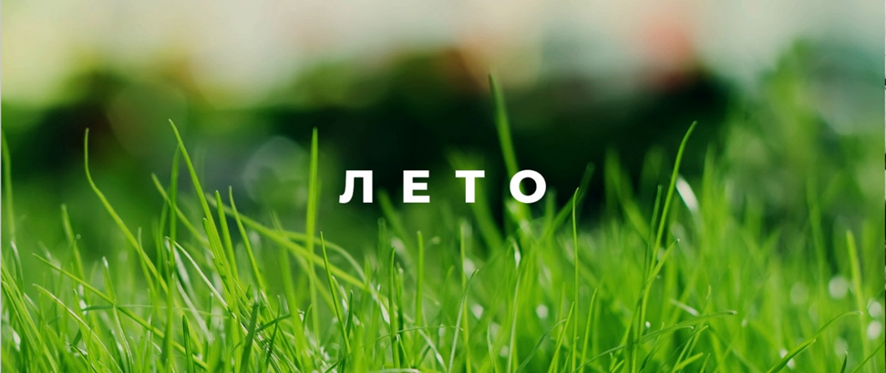 Когда дело доходит до ухода за садом или приусадебным участком, садовая техника становится незаменимым помощником.-15