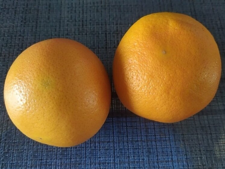     Фото: архив "МК в Калуге"