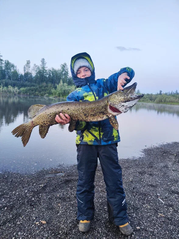 Зубастый трофей Плато Путорана.