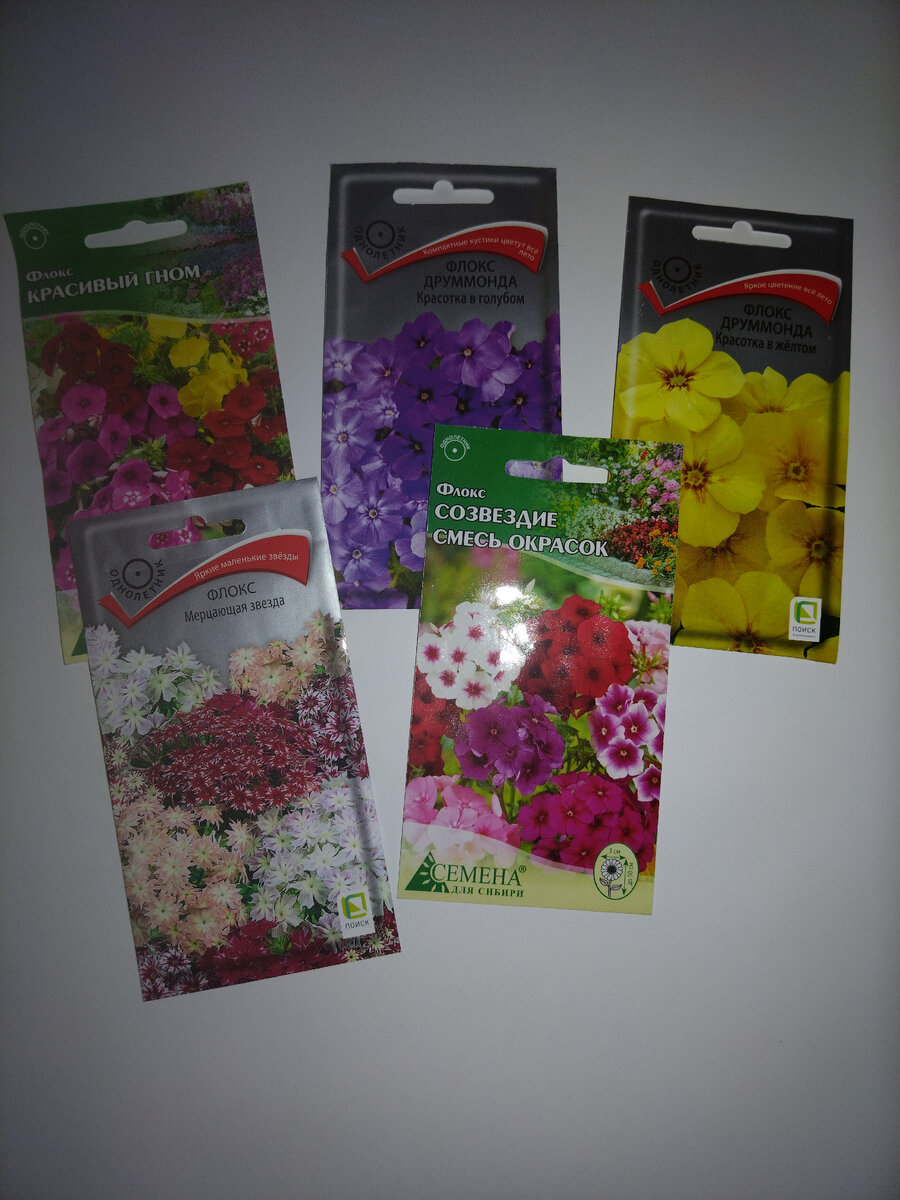 Уничтожу цитаты. Великое пятикнижие достоевского в каком порядке. Фёдор михайлович красота спасёт мир. Как достоевский отвечает на вопрос как уничтожить зло на земле. Красота спасет мир преступление и наказание.