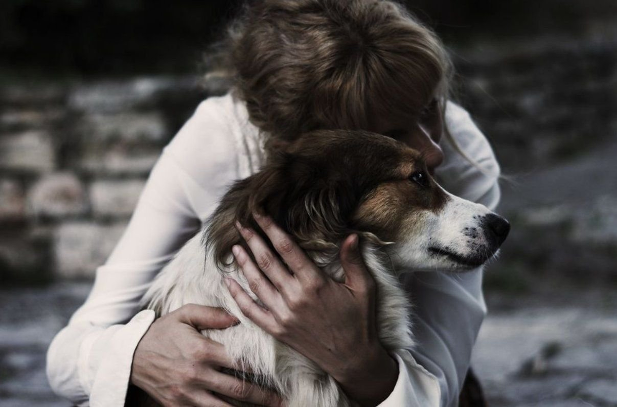 Dog has woman. Двушка обнимает собаку. Человек обнимает собаку. Девушка обнимает собаку. Объятия с собакой.