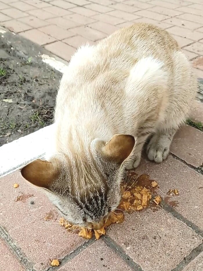 простоквашино дом дяди федора. прекрасное чувство - любовь. цитаты про дом. хочу в другом доме жить. хочу в другом доме жить.