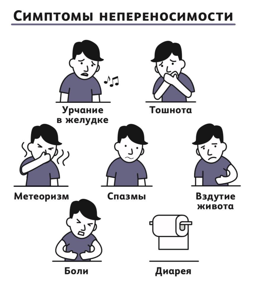 Непереносимость лактозы. Модная тенденция или реальная опасность? | Умные  журналы 