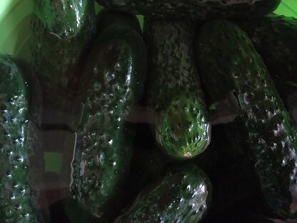 Фотография из личного архива автора