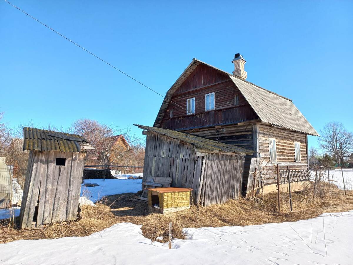 Первая зима...