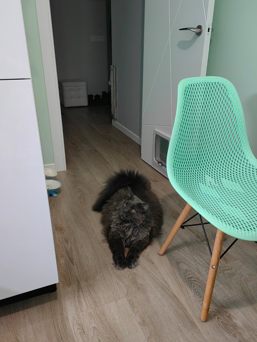 Меняется выражение мордочки