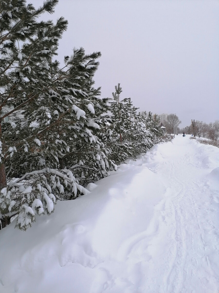 Фото автора. Набережная Энгельса в снегу. 