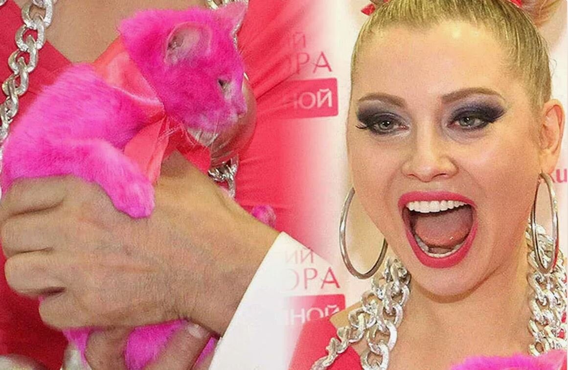 Лена ленина ареал. Лена ленина в молодости. Личинки вислокрылок ареал обитания. Ареал обитания полевая мышь. Елена ленина.