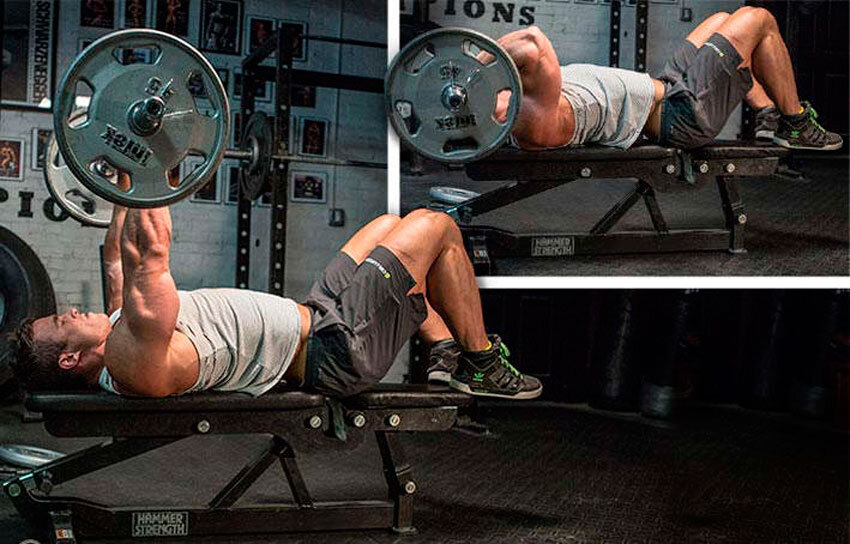 программа тренировок гантели на бицепс. техника поднятия штанги на бицепс. скамья скотта упражнения на бицепс. подъем штанги на бицепс прямой гриф. нормативы по подъему штанги на бицепс.