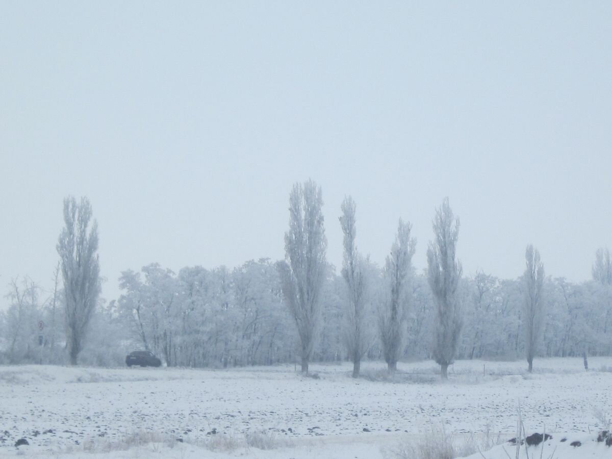 Песни замело дорогу к тебе замело