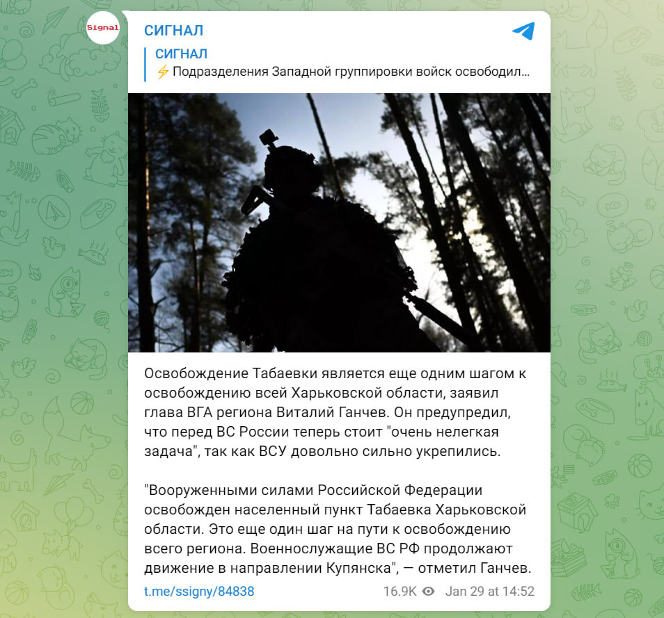 СКРИНШОТ: СИГНАЛ/TELEGRAM