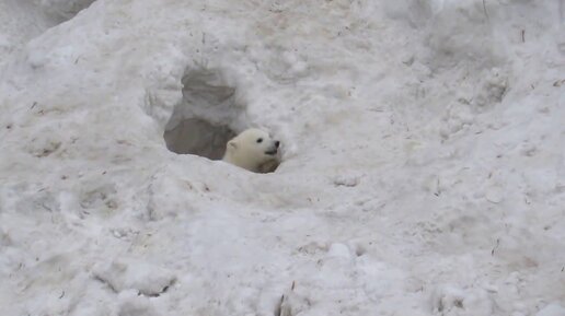 мальчик провалился в люк. малыш из ямы. яма в земле. мальчик провалился в яму в море. мальчик застрял в колодце.