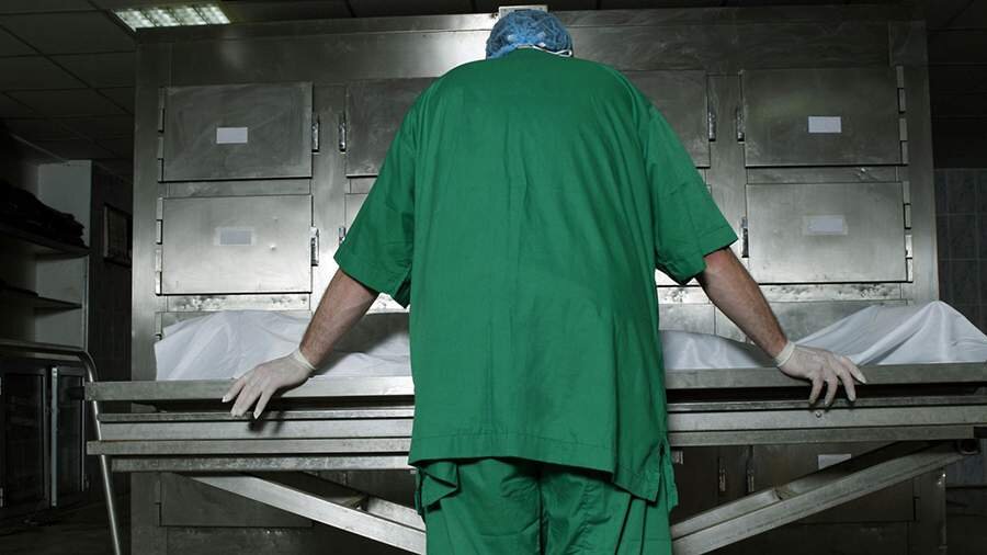 честным трудом. всё что нажито непосильным трудом. занятой бизнесмен. заработаны трудом. этуш владимир абрамович карабас барабас.