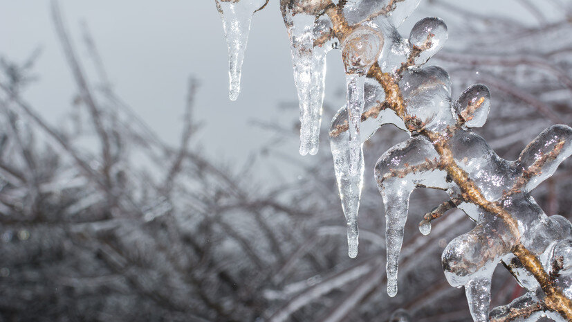   Gettyimages.ru PetricaR