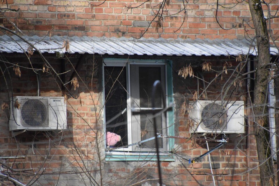 Донна каран дизайнер одежда. Донна форс мажоры. Как выглядит донна. Донна каран. Как выглядит донна.