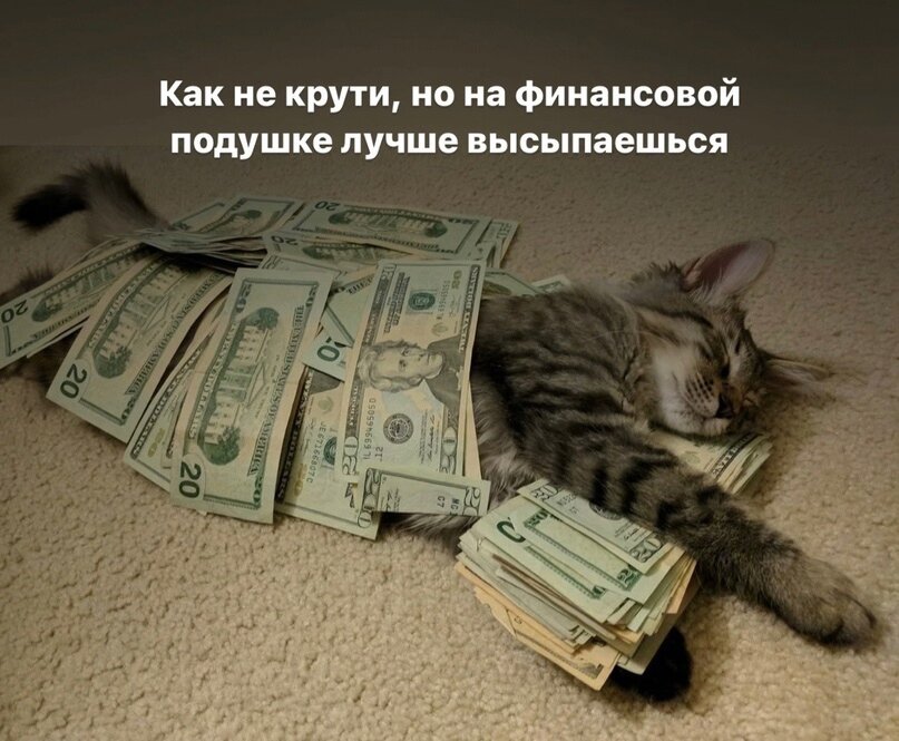Мемы про деньги | BVN Finance | Лучшее финансовое планирование | Дзен