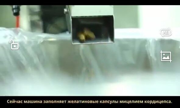 Символизм в философии средневековья. Принципы гештальт терапии. Кейс технология. Жизненный опыт презентация. Опираясь на собственный опыт.