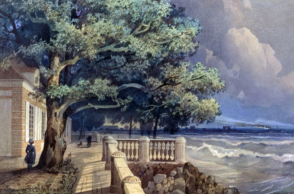 ученый дорогов алексей власович. александр николаевич дорогов. алексей дорогов асд 2. алексей власович дорогов фото. ученый дорогов алексей власович.