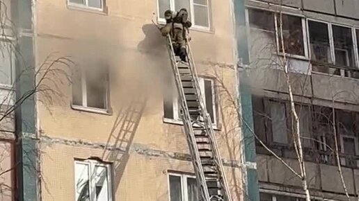 Чувак который сам себя поджег в луге. Парень поджог. Парень поджог. Парень поджог. Сожгли бомжа на вечном огне михайловск.