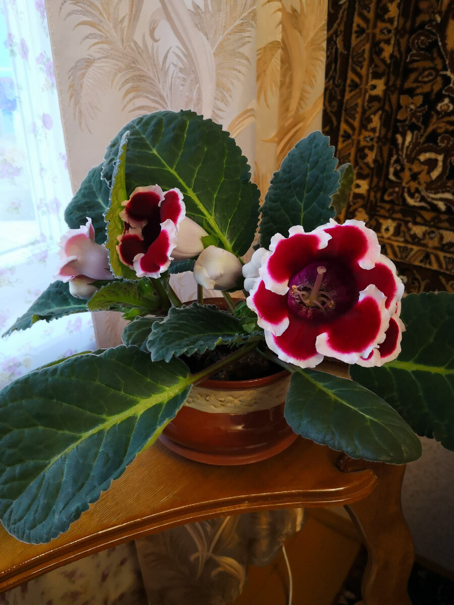 Это одна из сохранившихся до сих пор