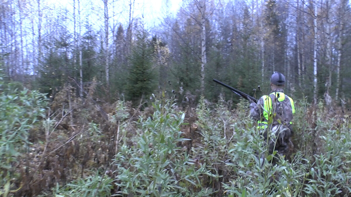 На что влияет длина ствола охотничьего ружья? | Оружейный дом Орёл | Дзен