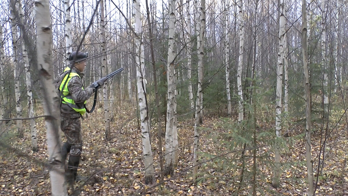 На что влияет длина ствола охотничьего ружья? | Оружейный дом Орёл | Дзен