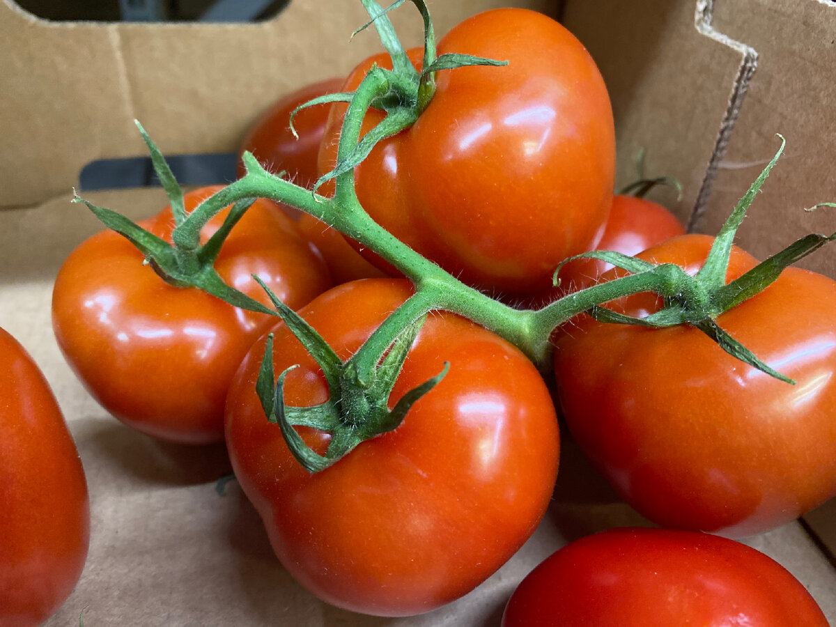 Основные функции пищи. Необходимая для клетки энергия образуется в процессе. Энергия, необходимая для жизнедеятельности клеток человека,. Энергия жизнедеятельности. Процесс обмена веществ у человека.