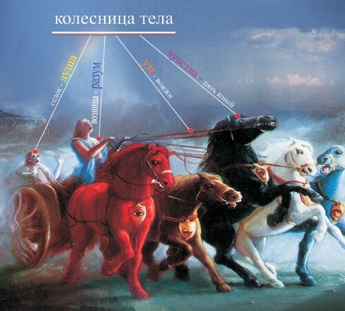 Чуть помедленнее, кони, чуть помедленнее! Вы тугую не слушайте плеть! Но что-то кони мне попались привередливые...  (с) Высоцкий