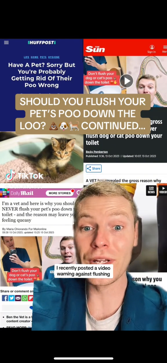    Кадр из видео: @Ben.the.Vet/TikTok