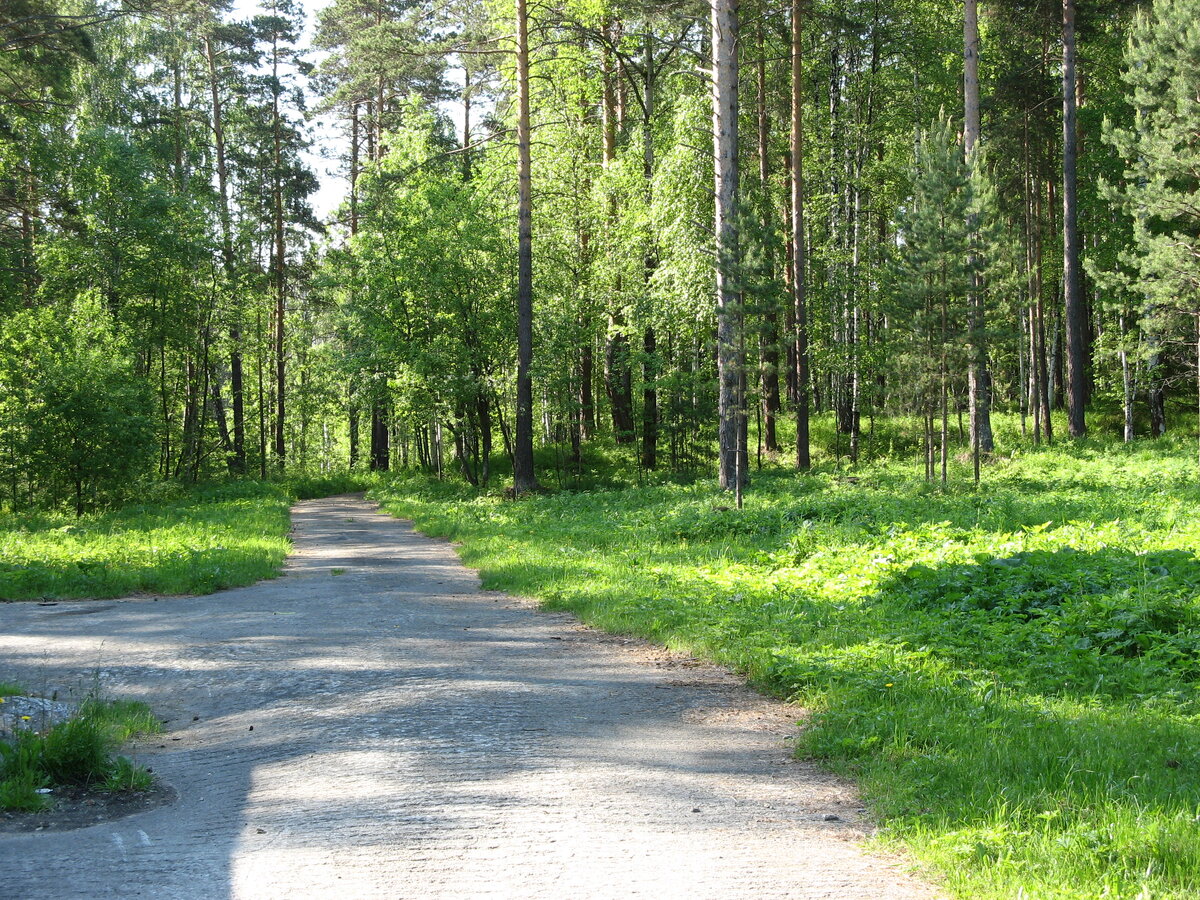 Аллеи в пионерском лагере. Фото автора. 