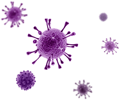 Микроорганизмы: Мир невидимых жизней.