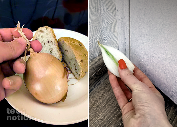 Для чего лук надо хранить с хлебом, и раскладывать по комнате / Изображение: дзен-канал technotion