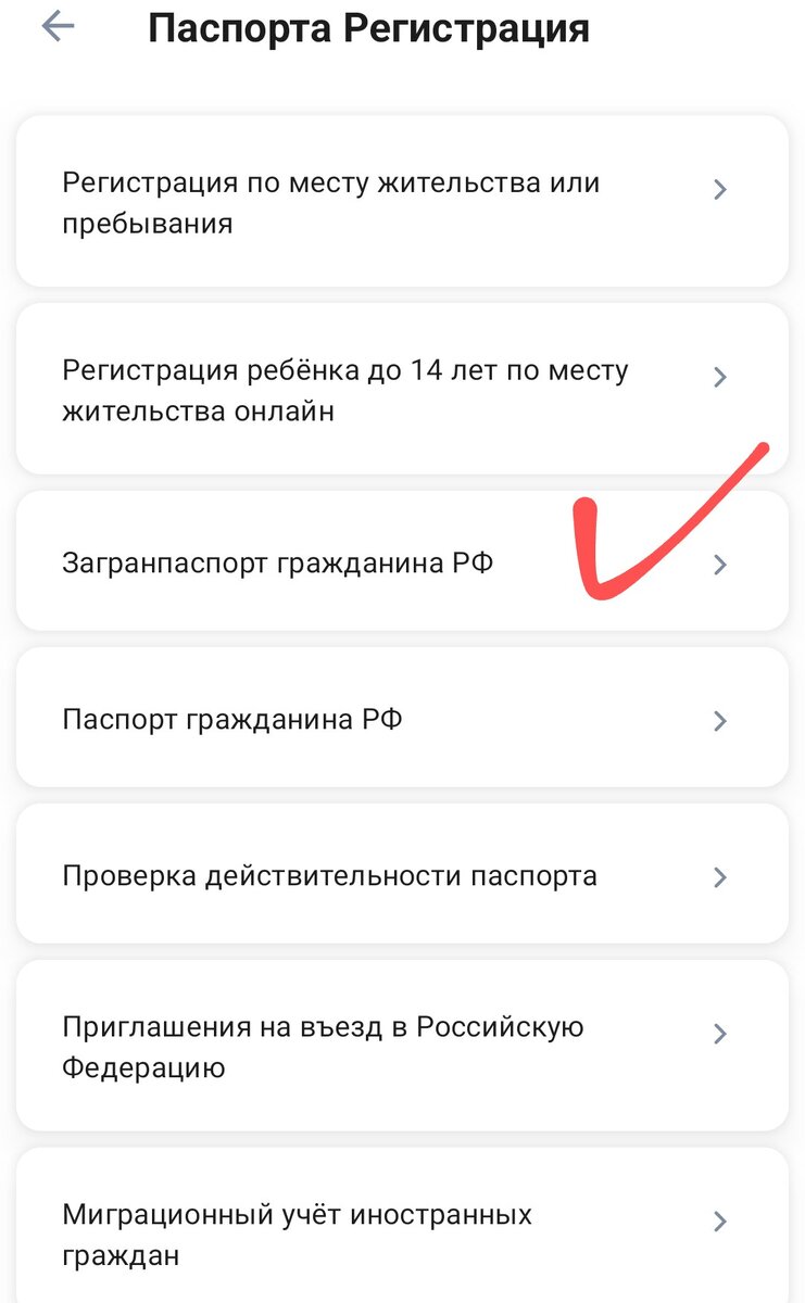 Как получить загранпаспорт в 2024 году. Личный опыт | Городской сумасшедший  | Дзен