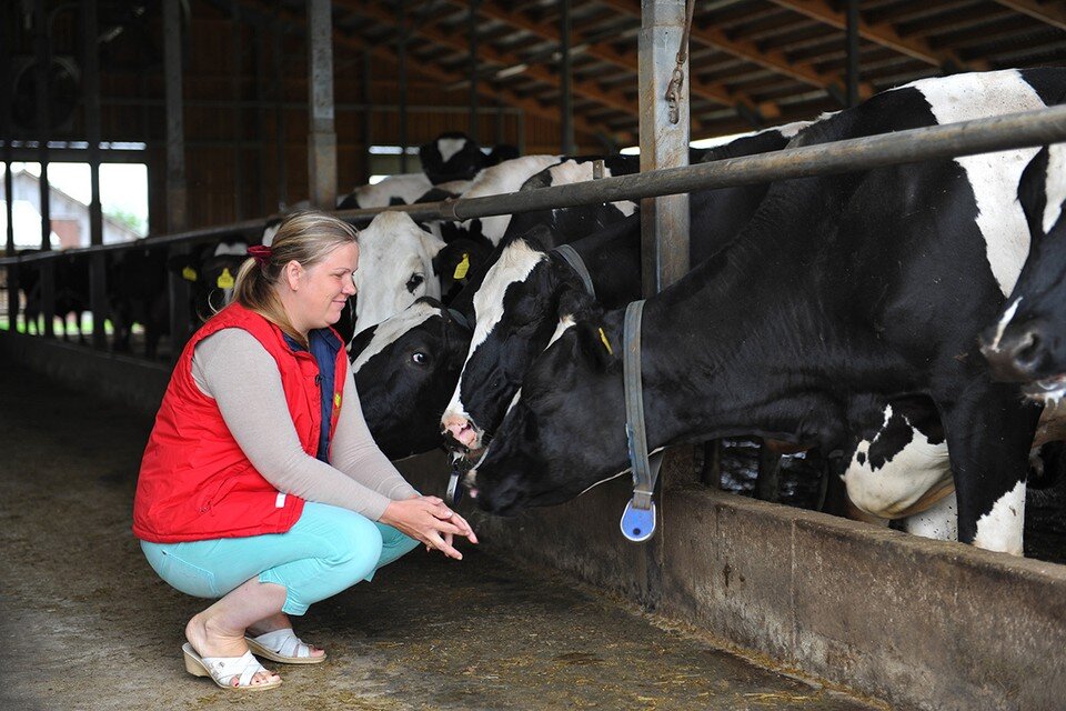 прожиточный на семью из 5 человек. калькулятор расчета прожиточного минимума. как расчитать прожиточный мини. как рассчитать прожиточный минимум на семью из 4 человек. как рссчитатьпрожиточный минимум.
