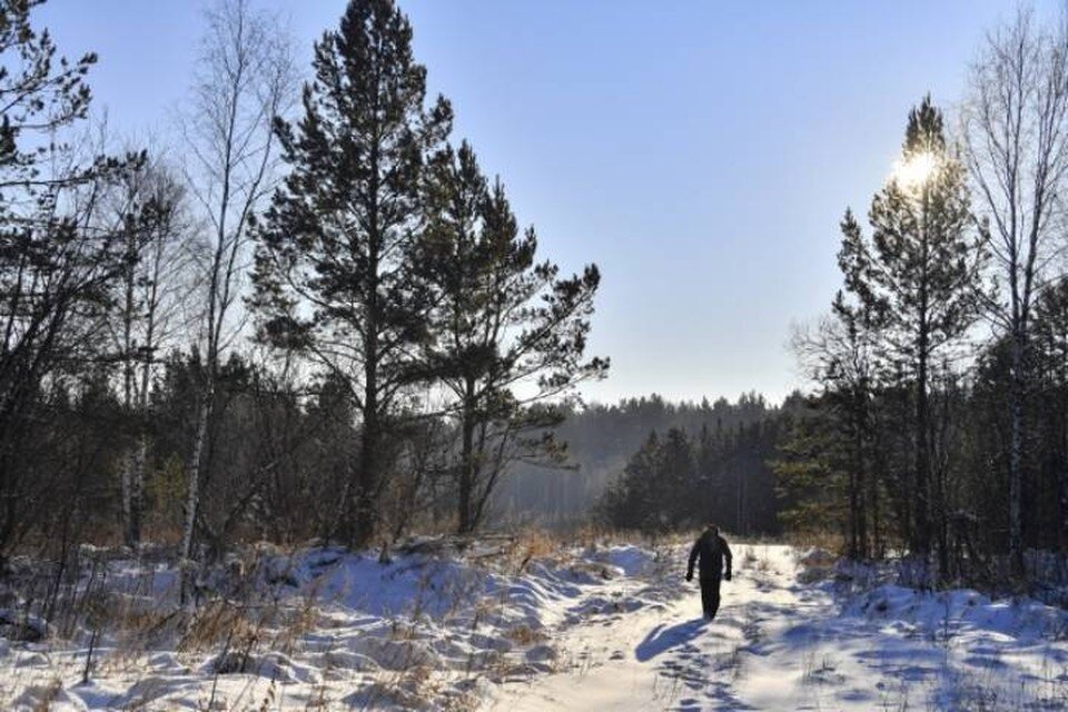 мерил стрип миранда пристли. обычная женщина средних лет. русская женщина 50 лет. деловой портрет женщины. модели в костюмах женщины.