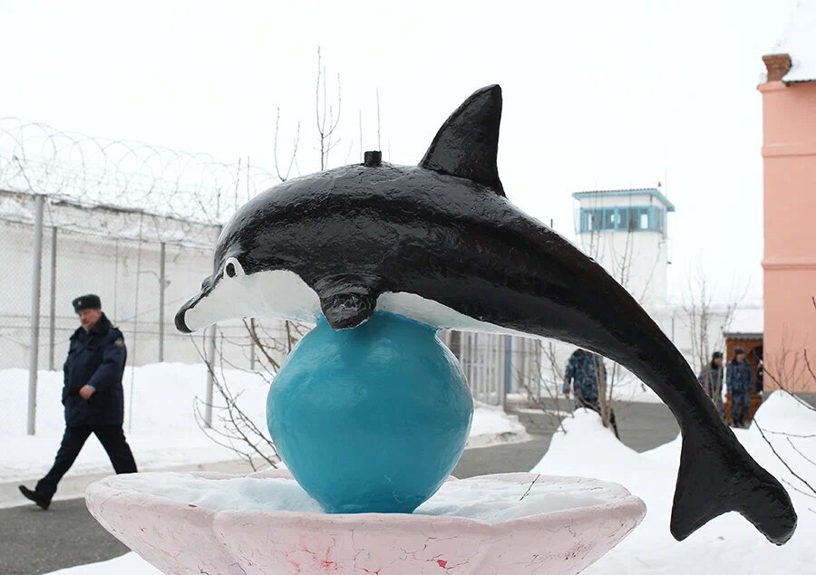 Колония для каннибалов: какие условия в «Черном дельфине», куда отправили казанского стрелка
