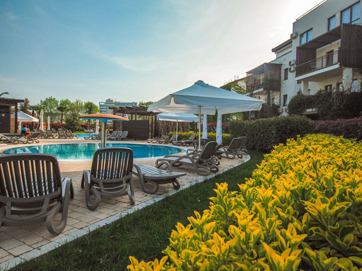 Гостевой дом сириус адлер. Руссо отель сочи. Адлер нижнеимеретинская 115а. Совхоз сириус адлер. Гостиница ольга адлер.