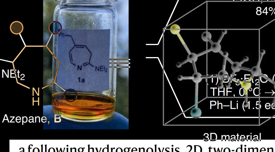   N + 1; Rory Mykura et al. / Nature Chemistry, 2024