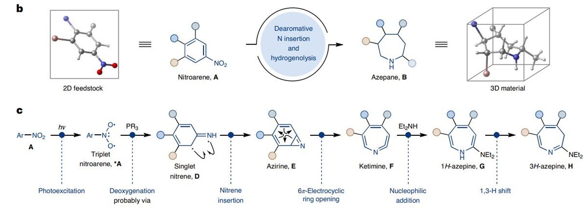   Rory Mykura et al. / Nature Chemistry, 2024