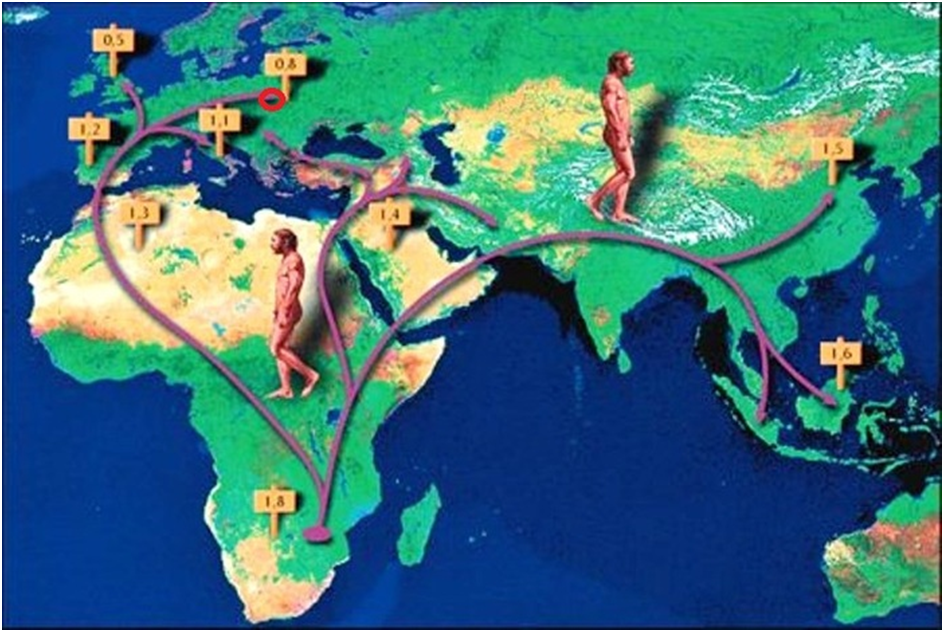 Карта расселения кроманьонцев. Карта миграции хомо сапиенс. Карта расселения homo sapiens. География расселения человека прямоходящего. Распространение людей на земле 6 класс география