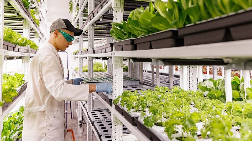    Фото: globallookpress.com