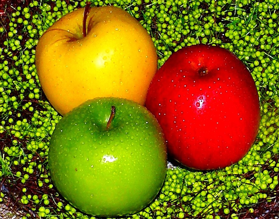 Разноцветные яблоки. Яблоки красные желтые зеленые. Яблоки зеленые. Яблоко красно желтое. Яблока трой